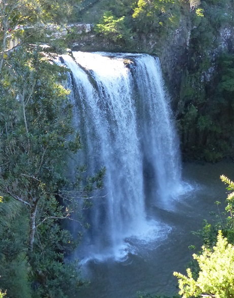 Whangarei Falls May 2017